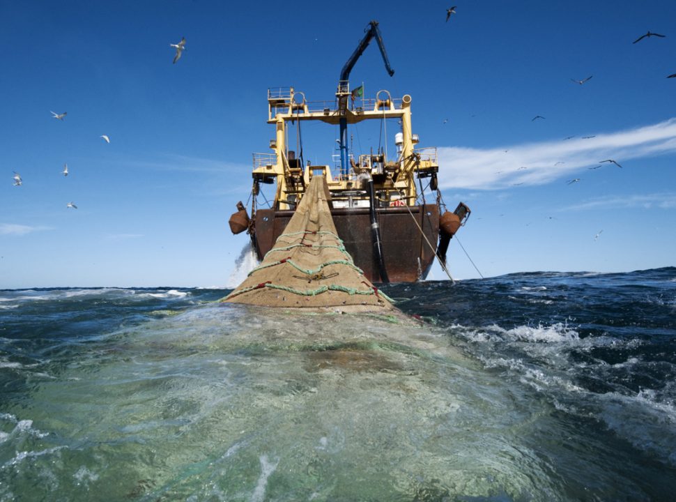 L'UE annonce le non-renouvellement de l'accord de pêche avec le Sénégal