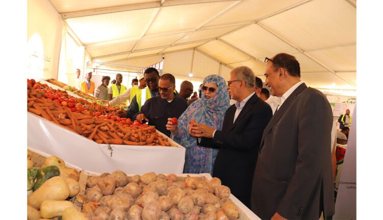 Les ministres du commerce et de l’agriculture visitent les expositions modèles du Ramadan