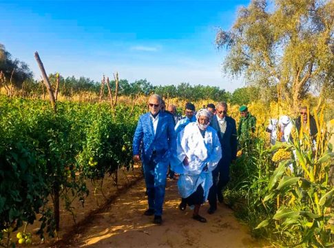 Le ministre mauritanien de l'agriculture visite des projets agricoles à Guérou, Assaba