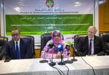Ministre de l'Environnement : La Mauritanie aspire à être un leader dans la transition énergétique