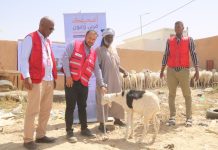 Le Croissant-Rouge mauritanien distribue plus de 300 animaux de sacrifice dans trois wilayas de Nouakchott