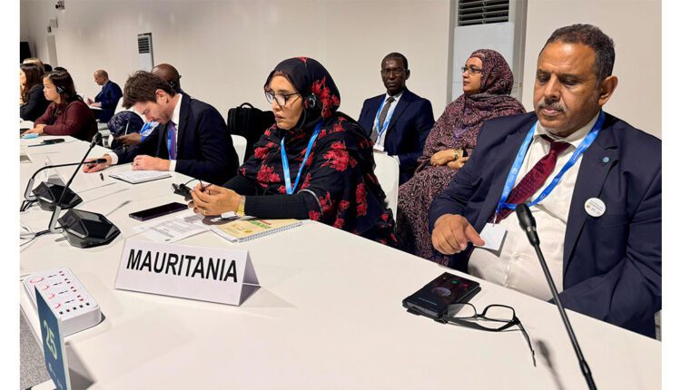 Bakou : Tenue d’une table ronde sur le financement du climat avec la participation de la Mauritanie