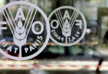 Nouakchott accueille une conférence africaine de haut niveau de la FAO sur la sécurité alimentaire et la transformation des systèmes agricoles