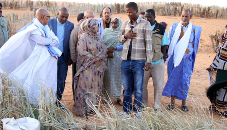 La ministre de l’Environnement : Effectue à Chinguetti une visite d’inspection des sites de stabilisation mécanique et biologique de dunes