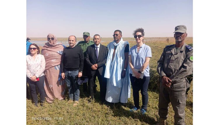 Tagant : le Hakem de Moudjeria supervise les préparatifs pour le lancement du projet de développement de Tamourt Naaj
