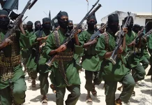 Des dirigeants de Chebab tués lors d'une opération dans le centre de la Somalie