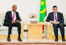 Ould Diay reçoit le ministre des Affaires étrangères sénégalais