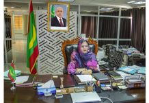 Des concertations par Vidéoconférence entre la Mauritanie et l'Arabie saoudite visent à renforcer la coopération dans le domaine du tourisme