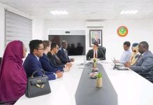 La Mauritanie et la FAO discutent de l'intégration des technologies numériques