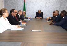 Discussions entre la Mauritanie et l'Europe pour renforcer la coopération et faciliter les procédures de visa