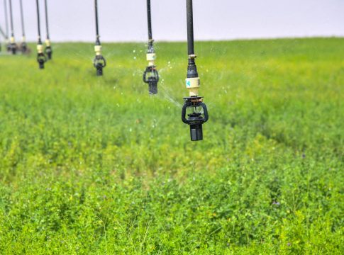 Aioune : Un appel officiel à redoubler d'efforts pour faire de la campagne agricole 2024 un succès
