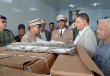 Nouadhibou : Distribution de 15 tonnes de poissons aux familles nécessiteuses
