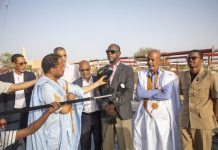 Le ministère du développement de l'élevage fournit 5 espaces pour l'abattage des animaux de sacrifice à Nouakchott