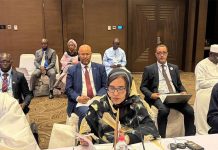 Ministre de l'Environnement : La Mauritanie continuera à soutenir et à développer l'initiative de la Grande Muraille Verte