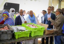 Le gouvernement distribue 13 tonnes de poissons à Nouakchott.
