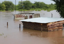 Des inondations font 100 morts au Mozambique et l'Afrique du Sud déclare une "catastrophe nationale"