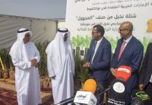 La Mauritanie reçoit 1000 plants de palmiers-dattiers en cadeau du Prix international Khalifa du palmier-dattier