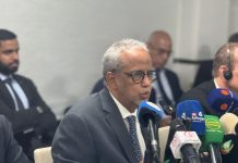 Ministre de l'Économie : L'amélioration des prix des carburants à l'international contribue à leur baisse localement