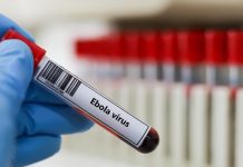 Le nombre de cas confirmés d'Ebola en République démocratique du Congo a atteint 4665