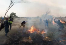 L'environnement menace les responsables des incendies ruraux de mesures légales strictes au Gorgol