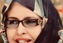 Maalouma Meidah : les artistes sont les premiers touchés par le jet d'argent lors des événements sociaux.
