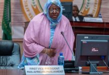 Mauritanie : Le Parlement africain a besoin d'indépendance dans ses décisions pour remplir pleinement son rôle