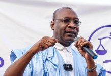 Le ministre de l'Elévage commence une tournée africaine pour soutenir la candidature de Koumba Ba.