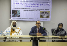 Responsable du ministère de la santé : Les maladies chroniques et non transmissibles sont les plus répandues en Mauritanie