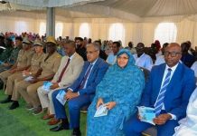 El Mina: Lancement d'un projet de réhabilitation du réseau d'éclairage public avec de l'énergie solaire