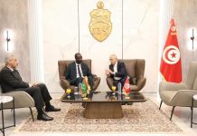 Des discussions tuniso-mauritaniennes sur la coopération dans le domaine de la santé