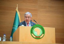 Nations Unies : L'Afrique est en passe de devenir une puissance en matière d'énergies renouvelables