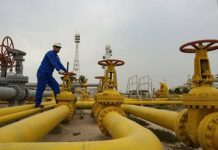 L'Algérie occupe la deuxième place parmi les principaux exportateurs de gaz naturel liquéfié en Afrique