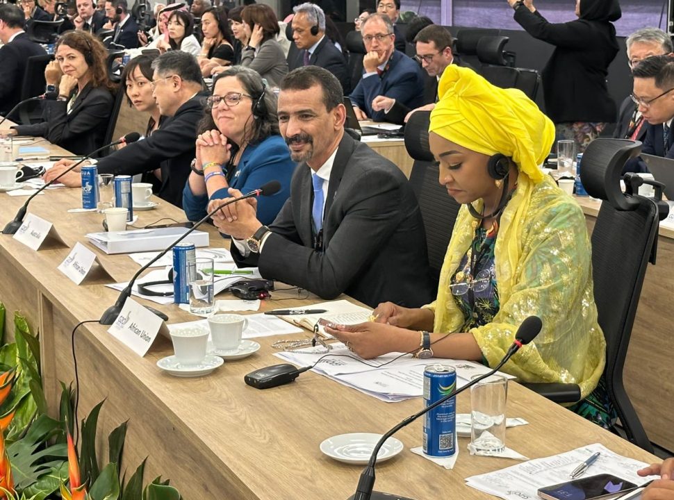 La Mauritanie appelle à la création d'un fonds international pour la protection et la préservation du patrimoine africain