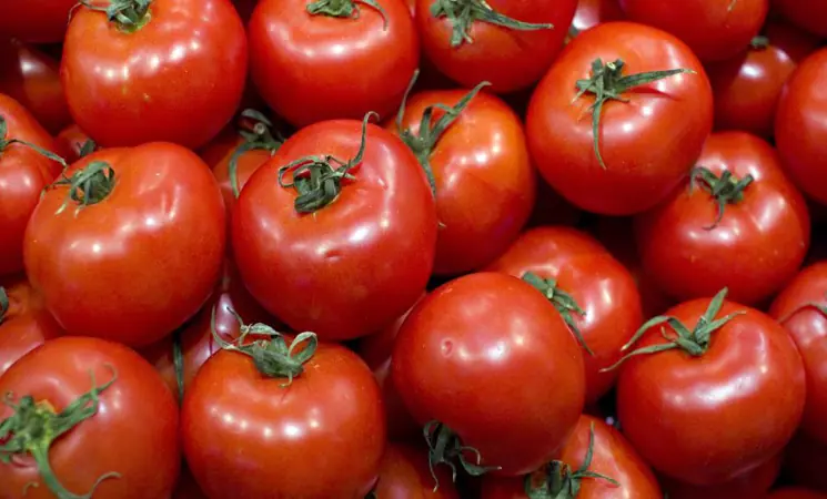 Photographie illustrative de tomates, distincte du marché Maroc le 12 octobre