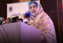 Gouvernement : Le taux d'accès à Internet en Mauritanie a atteint 80 pour cent