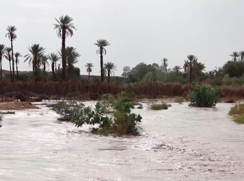 Adrar : Une commission présidée par le wali d'Oujeft a été constituée pour recenser les dégâts à Tinoumand