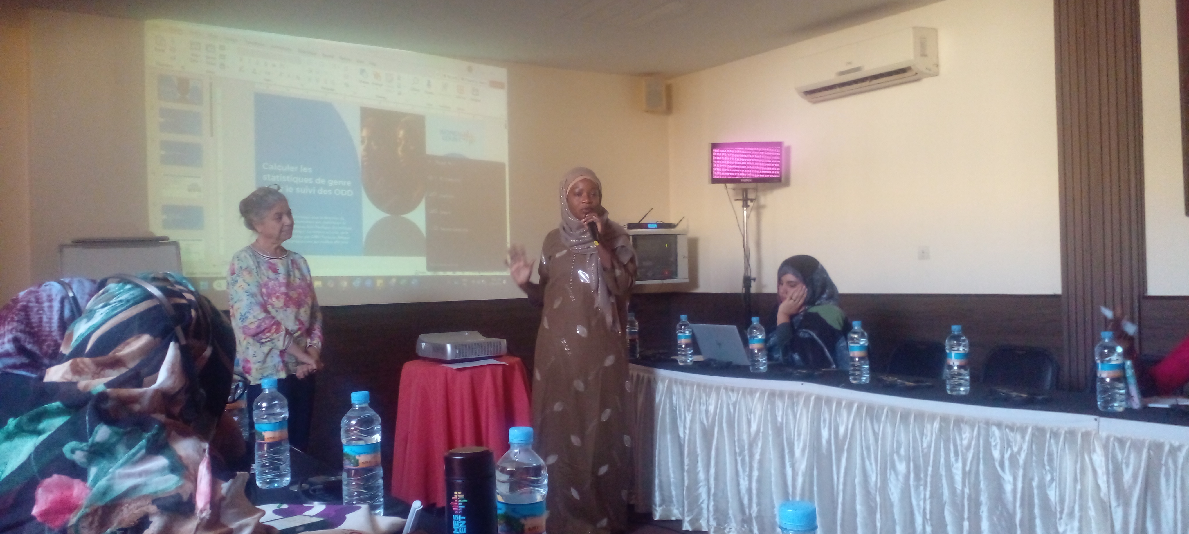 ONU FEMMES organise à Nouakchott un atelier sur les statistiques de genre