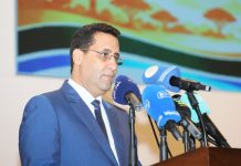 Ould Diaye appelle à une réponse africaine commune aux défis climatiques