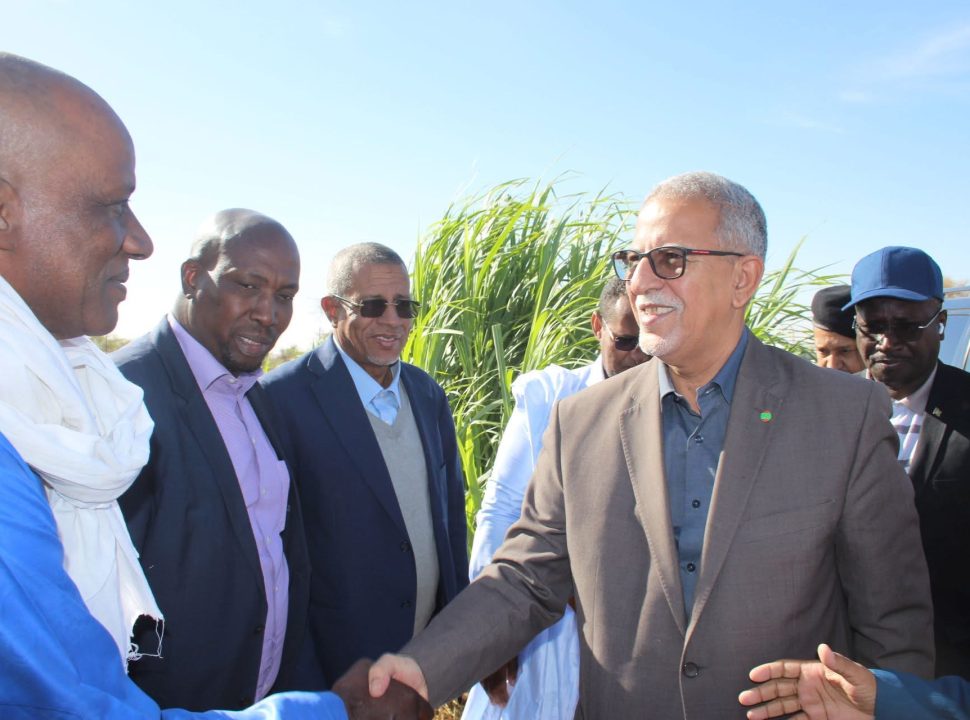 Ministre de l'Agriculture : Les indicateurs de la campagne saisonnière pour l'agriculture pluviale laissent présager une bonne récolte
