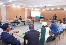 Atelier à Nouakchott pour la lutte contre les maladies tropicales négligées