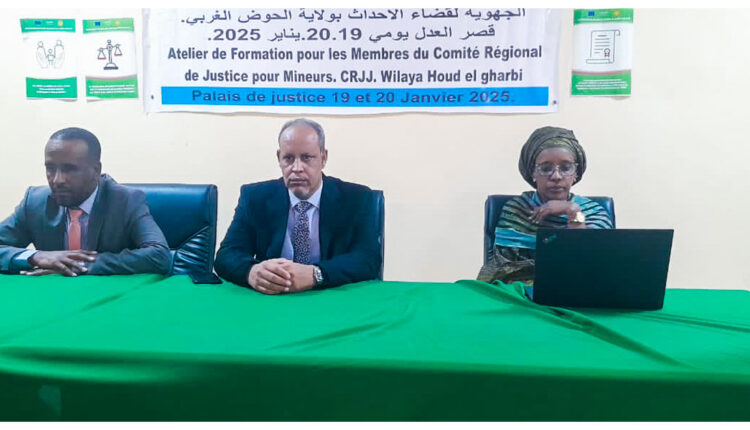 Aïoun : la direction de la protection judiciaire de l’enfance au ministère de la justice organise un atelier de formation au Hodh El Gharbi
