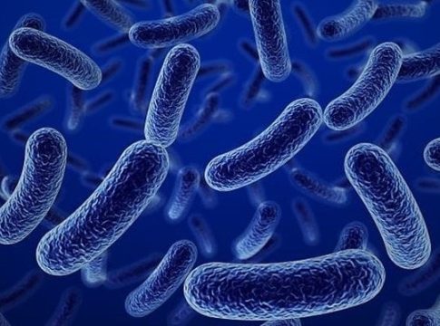 Le virus de Marburg tue 9 personnes en Tanzanie