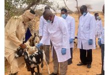 Développement animal : l'absence de vaccination à l'origine des maladies du bétail au Tagant