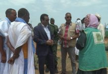 TAAZOUR distribue de l'argent aux personnes touchées par la tempête de sable dans le village de Zeghlan
