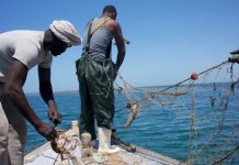 Le ministère de la Pêche fixe les dates de reprise des activités de pêche après la prolongation de l'arrêt biologique