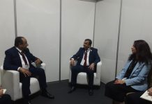 L'Algérie et l'Égypte discutent des moyens d'étendre leur partenariat dans les domaines de l'énergie et des mines