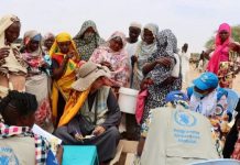 Faute de financement Le Programme alimentaire mondial menace de réduire l'aide à 1,3 million de Nigérians