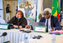 La Présidente de la Région de Nouakchott préside la 33ème session du Comité Exécutif de l'Organisation CGLU-A