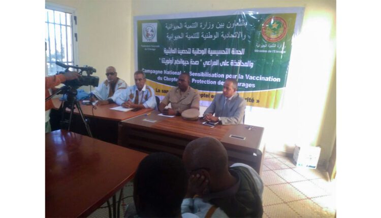Wilaya Assaba : La Fédération nationale de l’élevage, en collaboration avec le ministère de l’élevage lance une campagne de vaccination du bétail et de préservation des pâturages