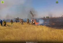 L'armée intervient pour éteindre un incendie qui a ravagé six kilomètres carrés dans le Hodh Charghi